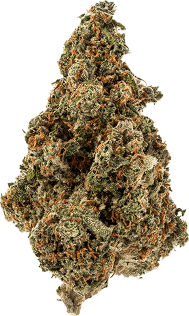 Bussin image 1